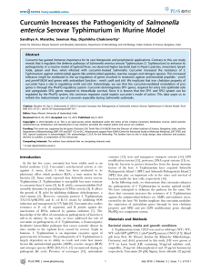 Salmonella enterica Curcumin Increases the Pathogenicity of Serovar Typhimurium in Murine Model