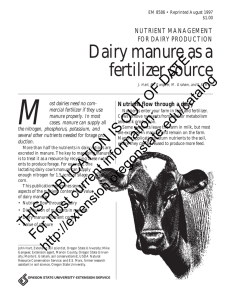 M Dairy manure as a fertilizer source DATE.