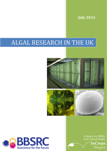 ALGAL RESEARCH IN THE UK July 2011  A Report for BBSRC