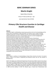 BDRC SEMINAR SERIES Martin Knight  Primary Cilia Structure-Function in Cartilage