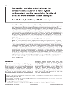 Generation and characterization of the antibacterial activity of a novel hybrid