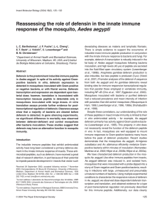 Reassessing the role of defensin in the innate immune Aedes aegypti
