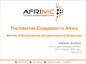 The Internet Ecosystem in Africa African Critical Internet Infrastructure &amp; Resources