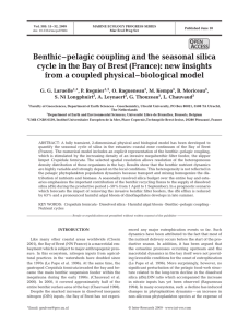 Benthic–pelagic coupling and the seasonal silica from a coupled physical–biological model