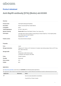 Anti-Hsp90 antibody [D7A] (Biotin) ab183383 Product datasheet Overview Product name