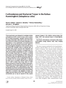 Corticosterone and Nocturnal Torpor in the Rufous Selasphorus rufus Sara M. Hiebert,