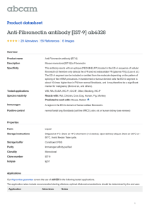 Anti-Fibronectin antibody [IST-9] ab6328 Product datasheet 29 Abreviews 6 Images