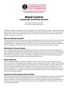 Weed Control Community and School Gardens