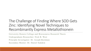 The Challenge of Finding Where SOD Gets Recombinantly Express Metallothionein