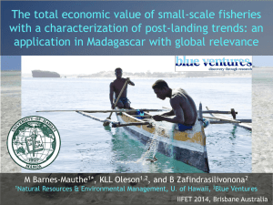 The total economic value of small-scale fisheries