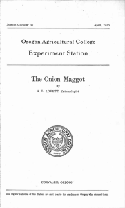 Experiment Station The Onion Maggot Oregon Agricultural College A. L. LOVETT, Entomologist
