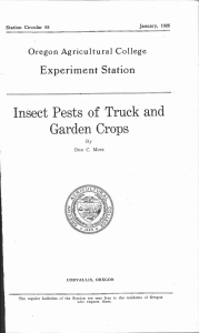 Insect Pests of Truck and Garden Crops Experiment Station