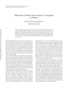 What Does It Mean That an Issue Is Conceptual in Nature?