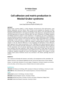 Cell adhesion and matrix production in Meckel Gruber syndrome Dr Helen Dawe 15