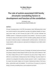 The role of autism-associated CHD family chromatin remodelling factors in