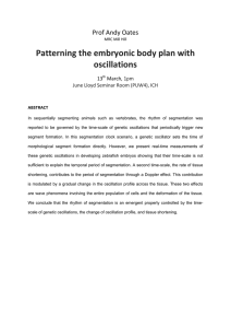 Patterning the embryonic body plan with oscillations  Prof Andy Oates