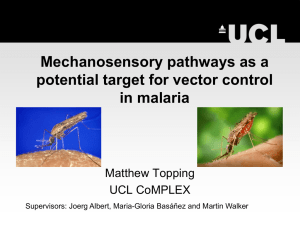 Mechanosensory pathways as a potential target for vector control in malaria