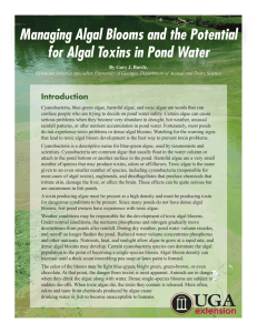 Managing Algal Blooms and the Potential Introduction