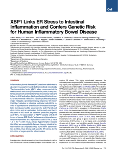 XBP1 Links ER Stress to Intestinal Inflammation and Confers Genetic Risk
