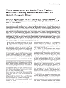 Listeria monocytogenes Attenuation or Existing Antivector Immunity Does Not Diminish Therapeutic Efficacy
