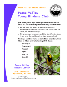 Peace Valley Young Birders Club Peace Valley Nature Center