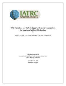 WTO Disciplines and Biofuels:Opportunities and Constraints in