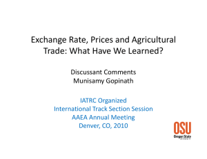 Exchange Rate, Prices and Agricultural  T d Wh t H W L d?