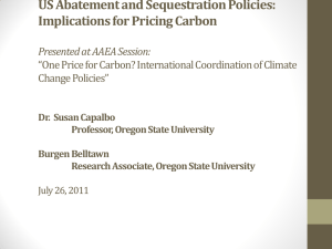 US Abatement and Sequestration Policies: Implications for Pricing Carbon