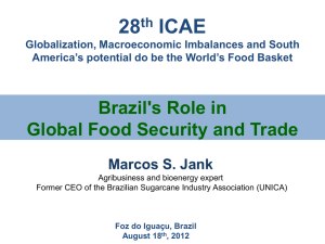 28 ICAE Brazil's Role in Global Food Security and Trade