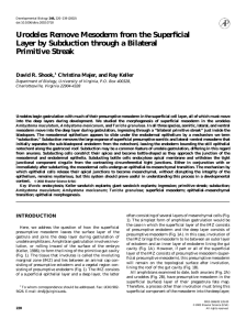 Urodeles Remove Mesoderm from the Superficial Primitive Streak David R. Shook,
