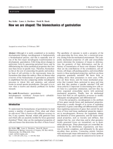 How we are shaped: The biomechanics of gastrulation
