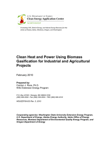 Clean Heat and Power Using Biomass Gasification for Industrial and Agricultural Projects