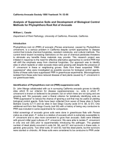 Analysis of Suppressive Soils and Development of Biological Control