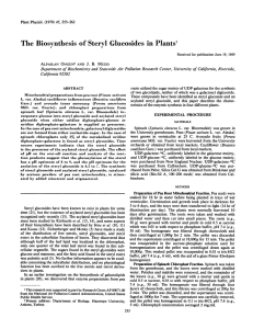 The Biosynthesis Steryl Glucosides Plants'
