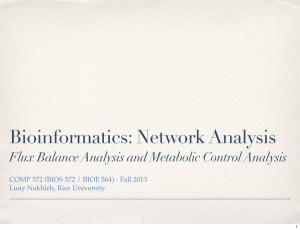 Bioinformatics: Network Analysis Flux Balance Analysis and Metabolic Control Analysis