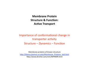 Membrane Protein   Structure &amp; Func2on:  Ac2ve Transport  Importance of conforma-onal change in 