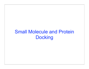 Small Molecule and Protein Docking