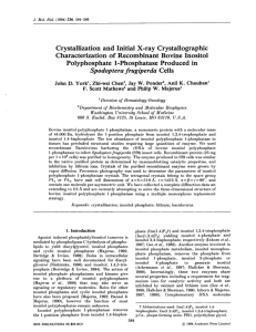 Crystallization and Initial X-ray  Crystallographic Characterization of Recombinant Bovine Inositol