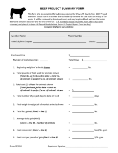 BEEF PROJECT SUMMARY FORM