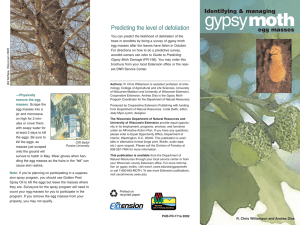 gypsy moth Predicting the level of defoliation Identifying &amp; managing