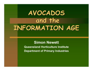 AVOCADOS and the INFORMATION AGE Simon Newett
