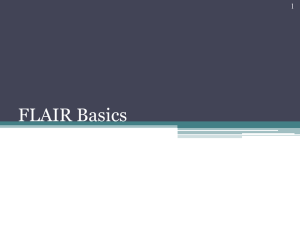 FLAIR Basics 1