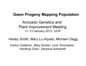 Avocado Genetics and Plant Improvement Meeting Gwen Progeny Mapping Population