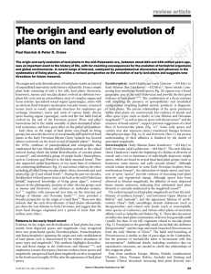 The origin and early evolution of plants on land review article