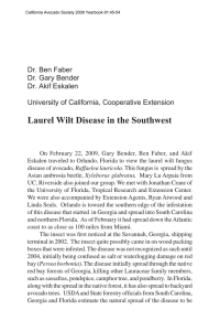 Laurel Wilt Disease in the Southwest Dr. Ben Faber Dr. Gary Bender