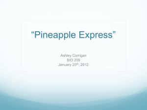 “Pineapple Express”  Ashley Corrigan SIO 209