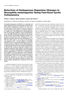 Detection of Endogenous Dopamine Changes in Voltammetry Drosophila melanogaster