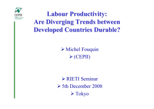 Labour Productivity: Are Diverging Trends between Developed Countries Durable? ¾ Michel Fouquin