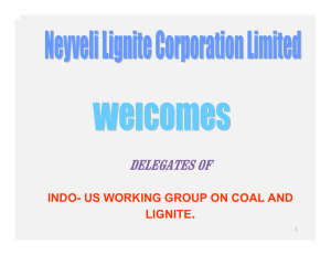 DELEGATES OF . INDO- US WORKING GROUP ON COAL AND LIGNITE