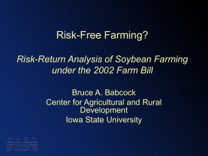 Risk-Free Farming? Risk-Return Analysis of Soybean Farming under the 2002 Farm Bill